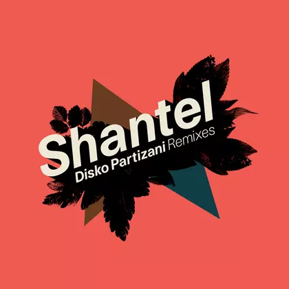 Shantel - Disko Partizani Remixes cover