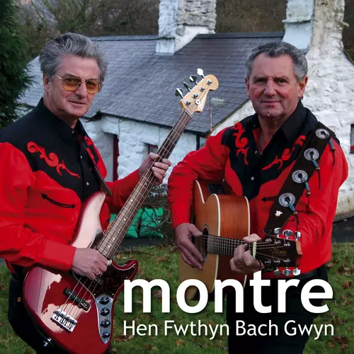 Hen Fwthyn Bach Gwyn