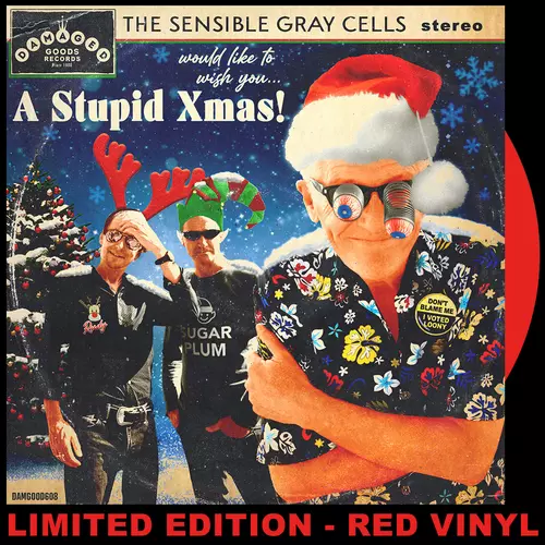 A Stupid Xmas (RED VINYL 7")