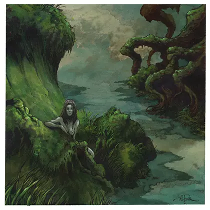 Vision Of The Hawk: Hidden Ravine Print Edition 