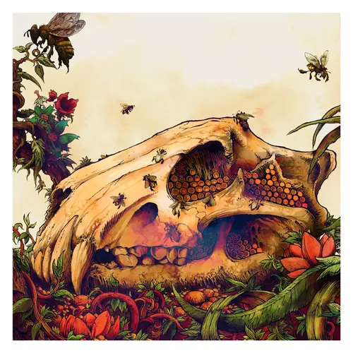 Vision Of The Hawk: The Lion's Skull Print Edition