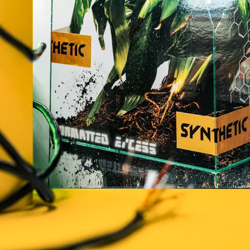 NxxxxxS - Formatted Excess