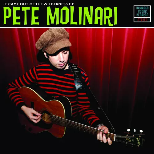 It Came Out Of The Wilderness EP