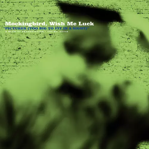 Pictures (Too Big to Fit in a Sight)