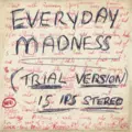 Everyday Madness
