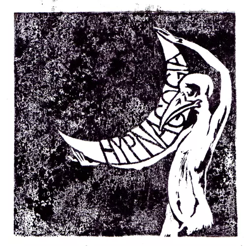 The Gray Field Recordings - Hypnagogia