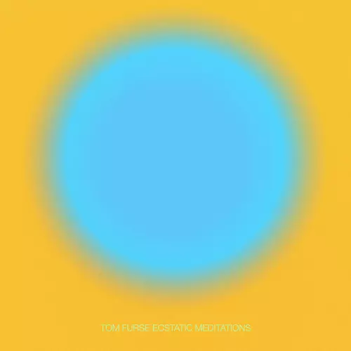 Ecstatic Meditations