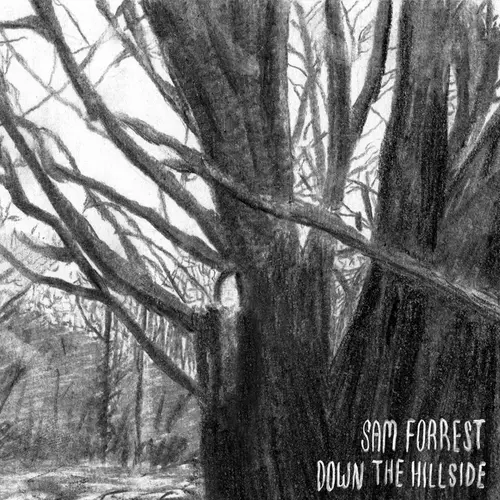 Sam Forrest - Down the Hillside