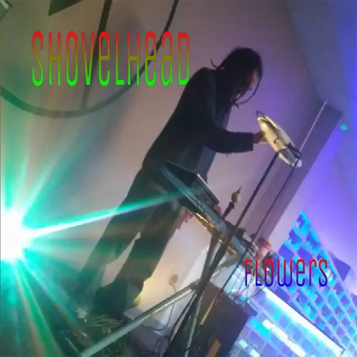 Post Noise Syndicate - Flowers