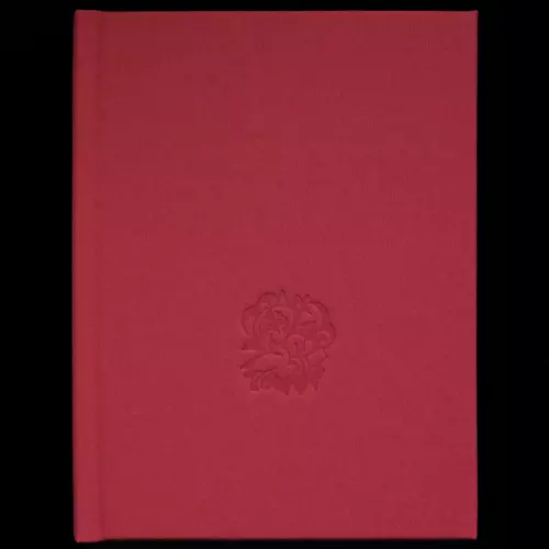 Andrei Bely - The Princess & The Knights (James Ginzburg Translation)