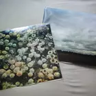 Heart & Another 2x12" Bundle