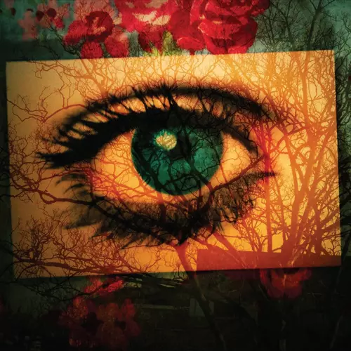 Every Day Is Like The First Day