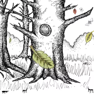 Psapp - Tiger, My Friend