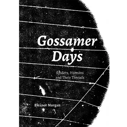 Gossamer Days