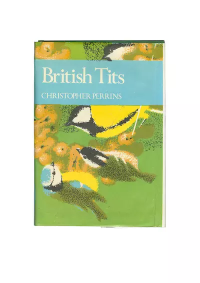BRITISH TITS A4 PRINT