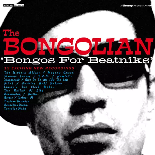 Bongos for Beatniks