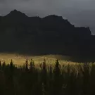 Walking with a Passer-by #1