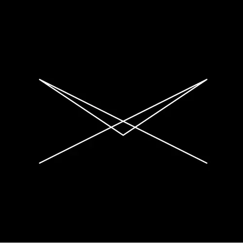 Everyone Was a Bird - Remixed