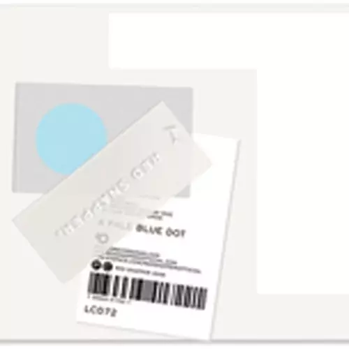 Red Snapper - Pale Blue Dot