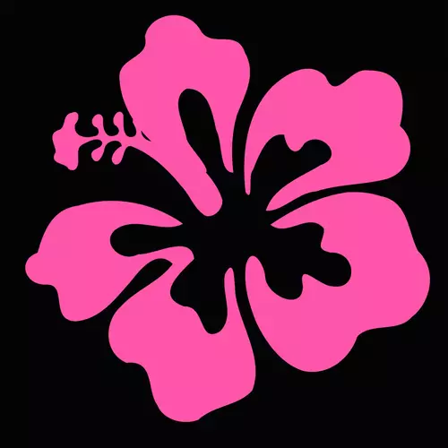 A Werewolf! - Wonderful Sound, Strange Shape