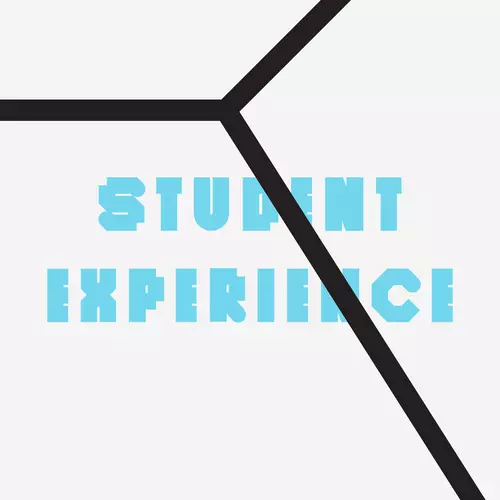 Student Experience
