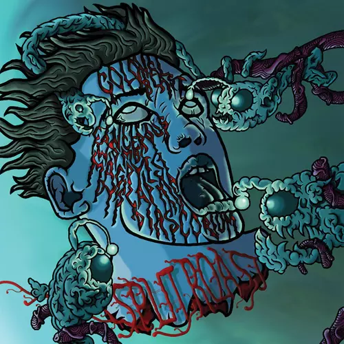 Various Artists - Split Roast