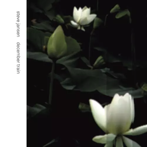 Steve Jansen - December Train