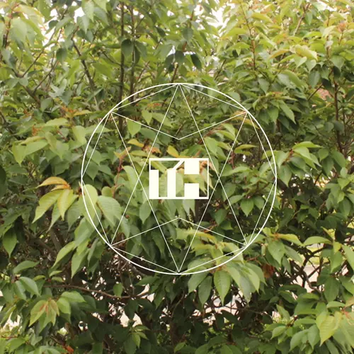 Tom Hallett - Little Death