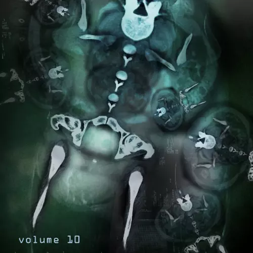 Bryan Lewis Saunders|Language of Light|Matt Reis - Stream of Unconscious, Vol. 10