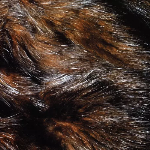 Forty Years to Find A Voice