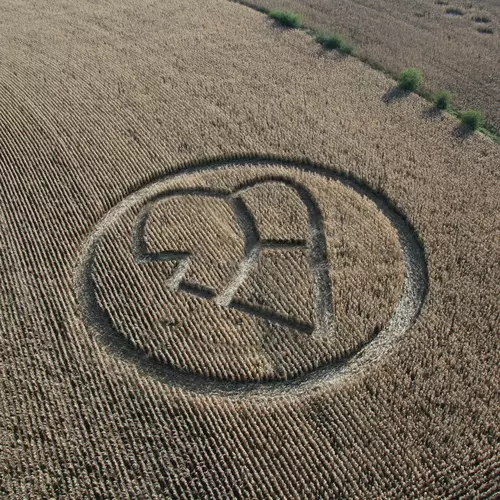 Various Artists - Untitled Compilation