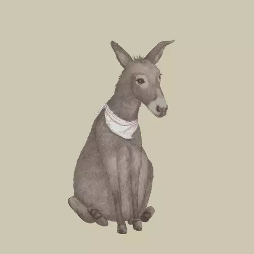 Lux Harmonium - The Bones You Break