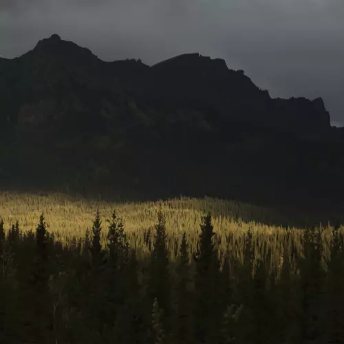 Amatorski - Walking with a Passer-by #1