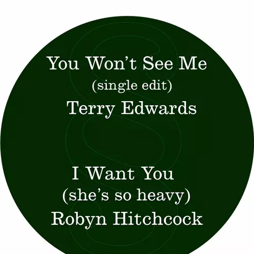 Terry Edwards / Robyn Hitchcock - You Won't See Me / I Want You (she's so heavy)