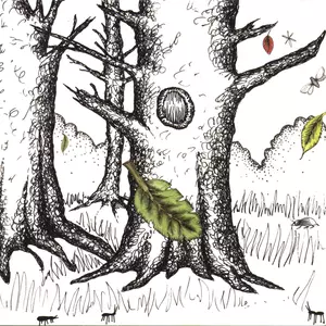 Psapp - Tiger, My Friend