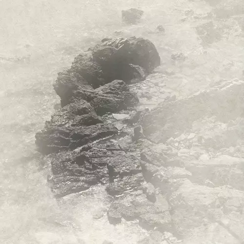 Coral Sea - Shell Patterns