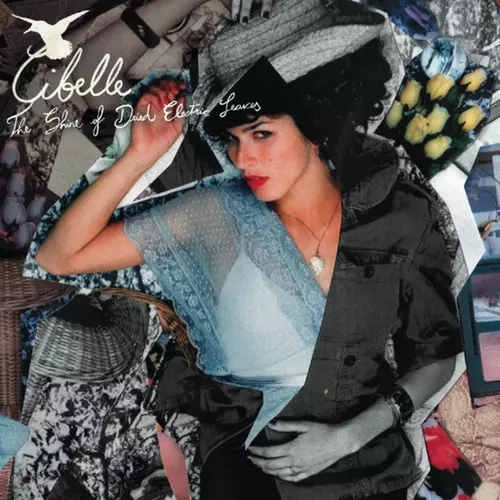 Cibelle - The Shine Of Dried Electric Leaves