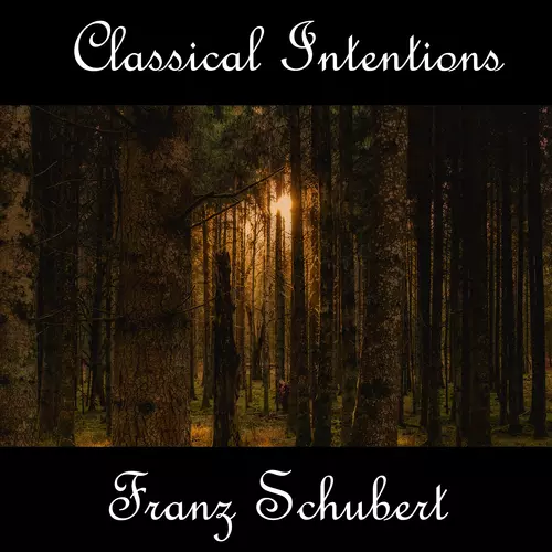 Franz Schubert - Instrumental Intentions: Franz Schubert