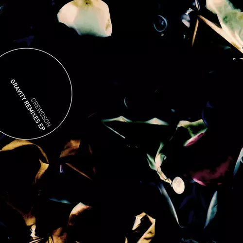 Gravity Remixes EP