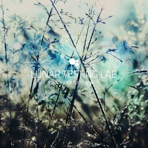 Lunar Testing Lab - The Winter Void