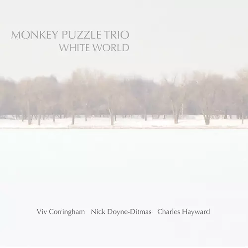 White World