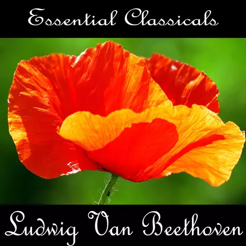 Jeremiah Grahams - Essential Classics: Ludwig van Beethoven