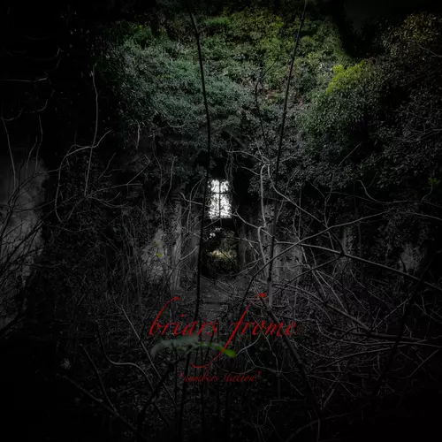 Briars Frome - Numbers Station