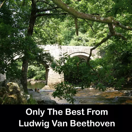 Ludwig Van Beethoven - Only The Best From Ludwig Van Beethoven