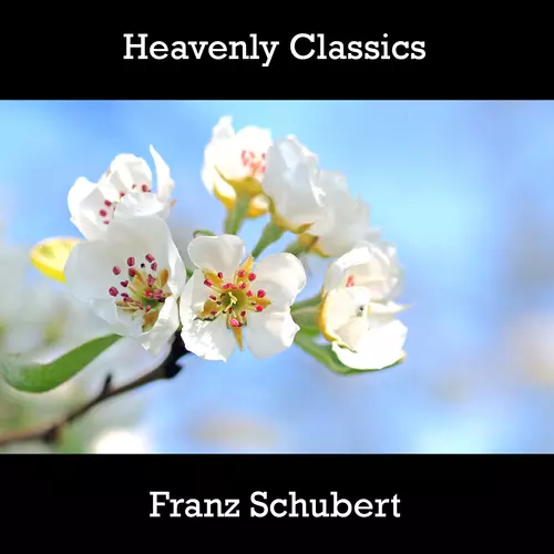 Franz Schubert - Heavenly Classics Franz Schubert