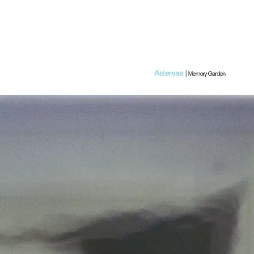 astereae - Memory Garden