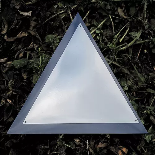 Gum Takes Tooth - TRI