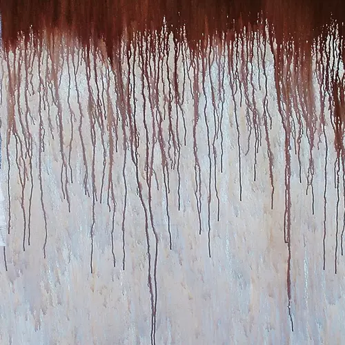 Zoon van Snook - The Gaits (feat. Sin Fang)