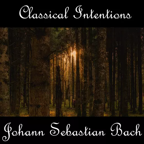 Johann Sebastian Bach - Instrumental Intentions: Johann Sebastian Bach