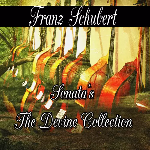 Franz Schubert - Franz Schubert: Sonata's The Divine Collection